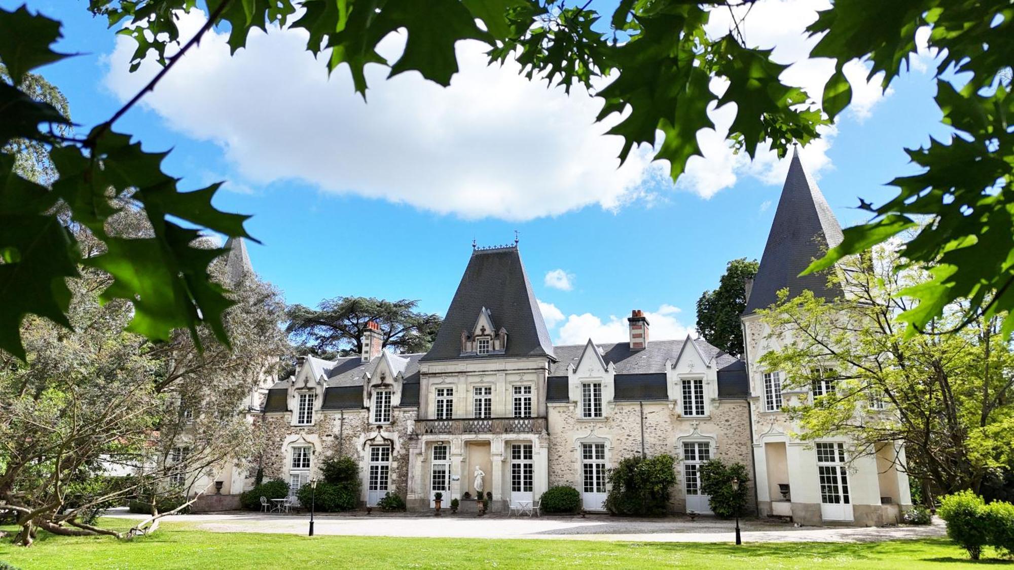 Chateau Du Bois De La Noe Bouaye Ngoại thất bức ảnh