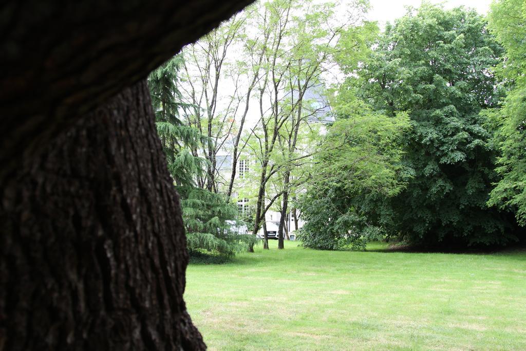 Chateau Du Bois De La Noe Bouaye Ngoại thất bức ảnh