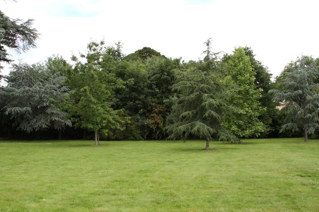 Chateau Du Bois De La Noe Bouaye Ngoại thất bức ảnh