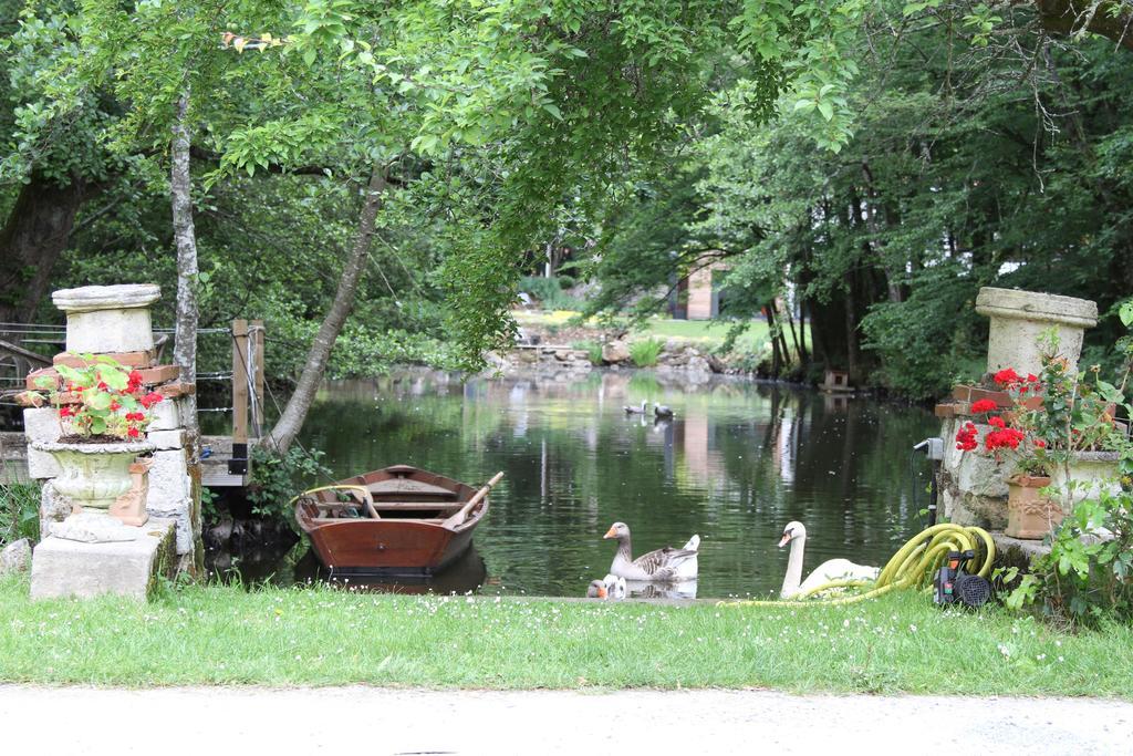 Chateau Du Bois De La Noe Bouaye Ngoại thất bức ảnh