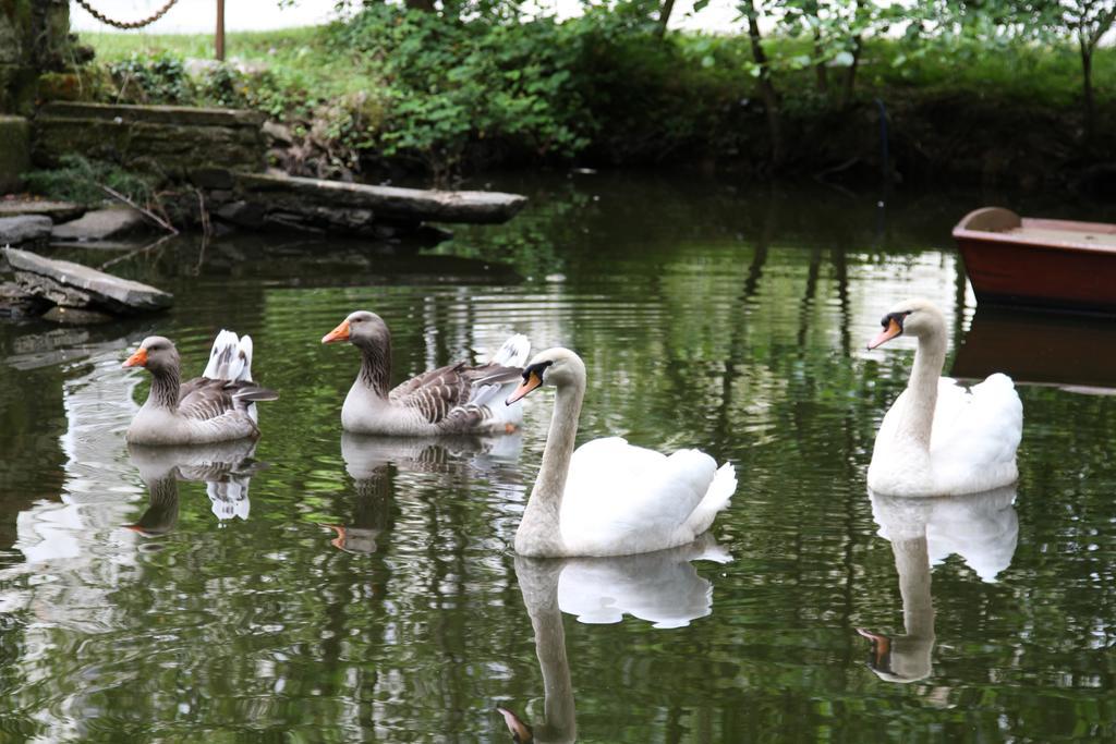 Chateau Du Bois De La Noe Bouaye Ngoại thất bức ảnh