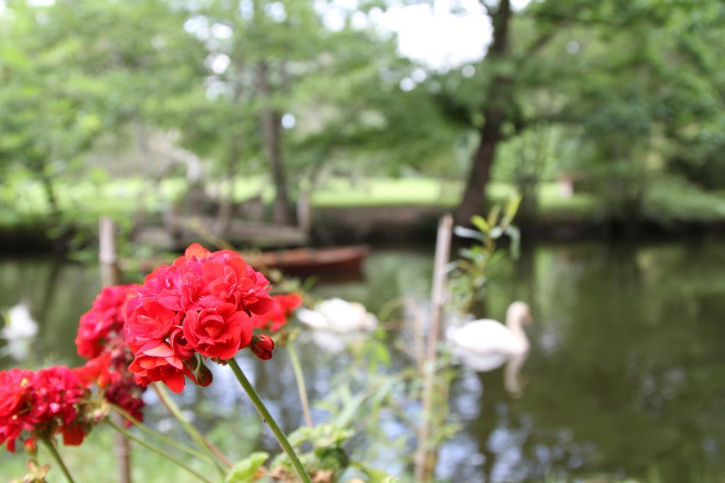 Chateau Du Bois De La Noe Bouaye Ngoại thất bức ảnh